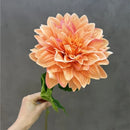 Set of 2 realistic artificial dahlia flowers for indoor decoration