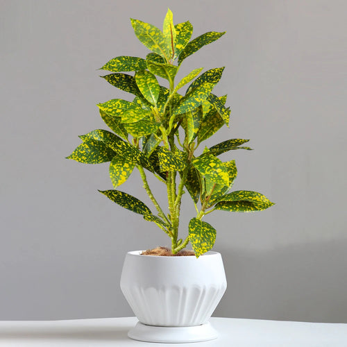 Realistic artificial ficus tree for indoor and outdoor decoration - vue 2 sur 9