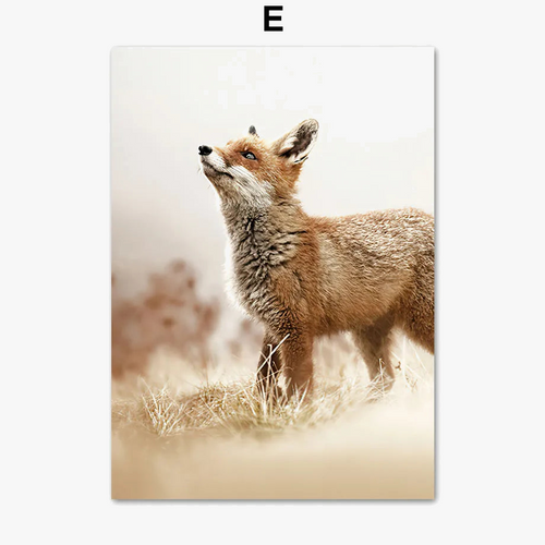 affiches-de-paysage-naturel-lac-plage-renard-art-mural-d-coration-6.png
