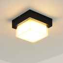 49526849536346|49526849700186