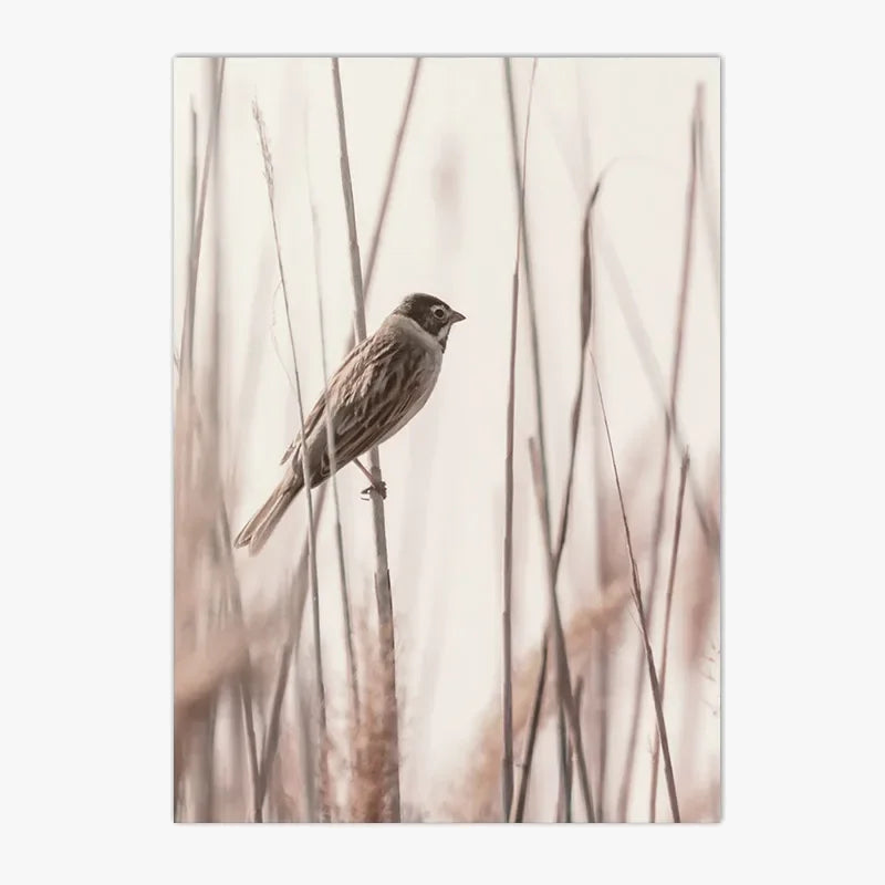 art-mural-d-coratif-nature-oiseaux-fleurs-et-sable-6.png