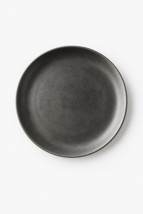 Assiette plate acier inoxydable style industriel vintage camping
