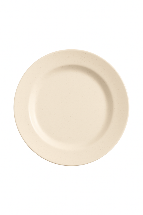 Assiettes nordiques polypropylène légères réutilisables pour cuisine - vue 2 sur 2