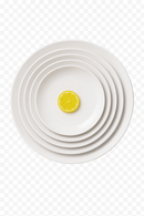 Assiettes rondes mélamine style porcelaine service table