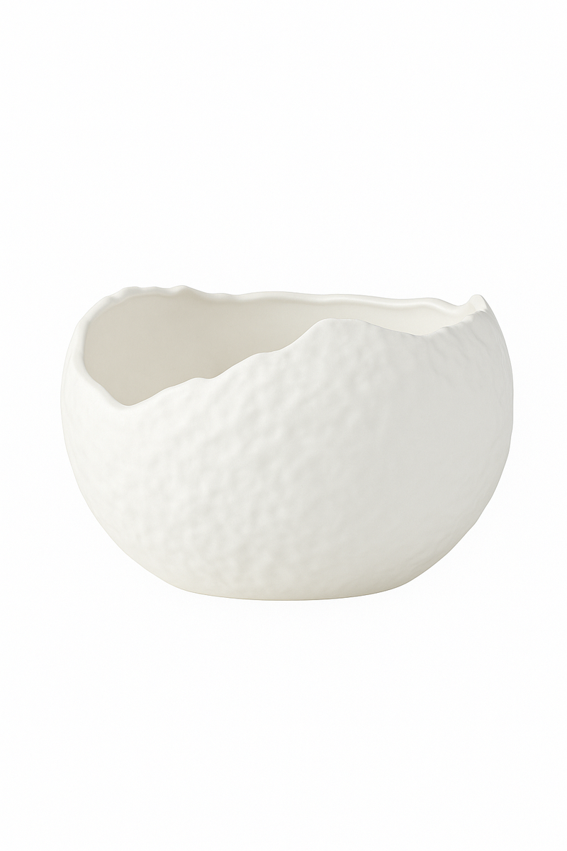 Bol céramique forme coquille irrégulière style raffiné