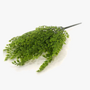 bouquet-de-foug-res-artificielles-au-toucher-r-aliste-pour-d-coration-int-rieure-4.png