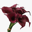 bouquet-de-lys-calla-artificiels-r-alistes-pour-d-coration-int-rieure-1.png