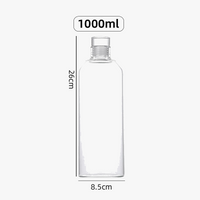 Bouteille eau verre infuseur sport extérieur grande capacité