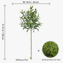 branche-d-olivier-artificielle-r-aliste-pour-d-coration-int-rieure-8.png