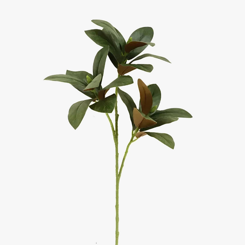 feuilles-de-magnolia-artificielles-pour-d-coration-int-rieure-r-aliste-1.png