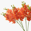 fleurs-artificielles-cymbidium-nouvelle-z-lande-d-coration-r-aliste-orchid-e-1.png