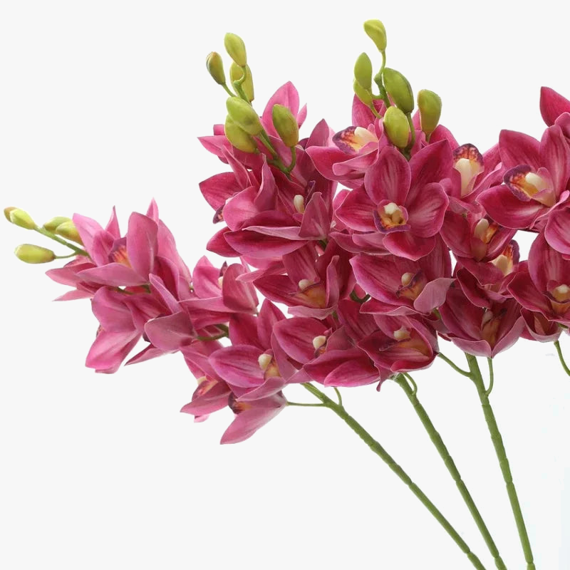 fleurs-artificielles-cymbidium-nouvelle-z-lande-d-coration-r-aliste-orchid-e-5.png