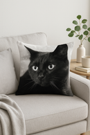 housse de coussin carrée chat noir pour décoration intérieure