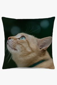 housse de coussin décorative avec motif chat mignon