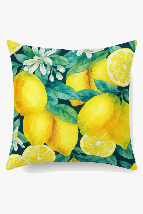 housse-de-coussin-d-corative-fruits-d-t-citron-orange-fraise-past-que-0.png