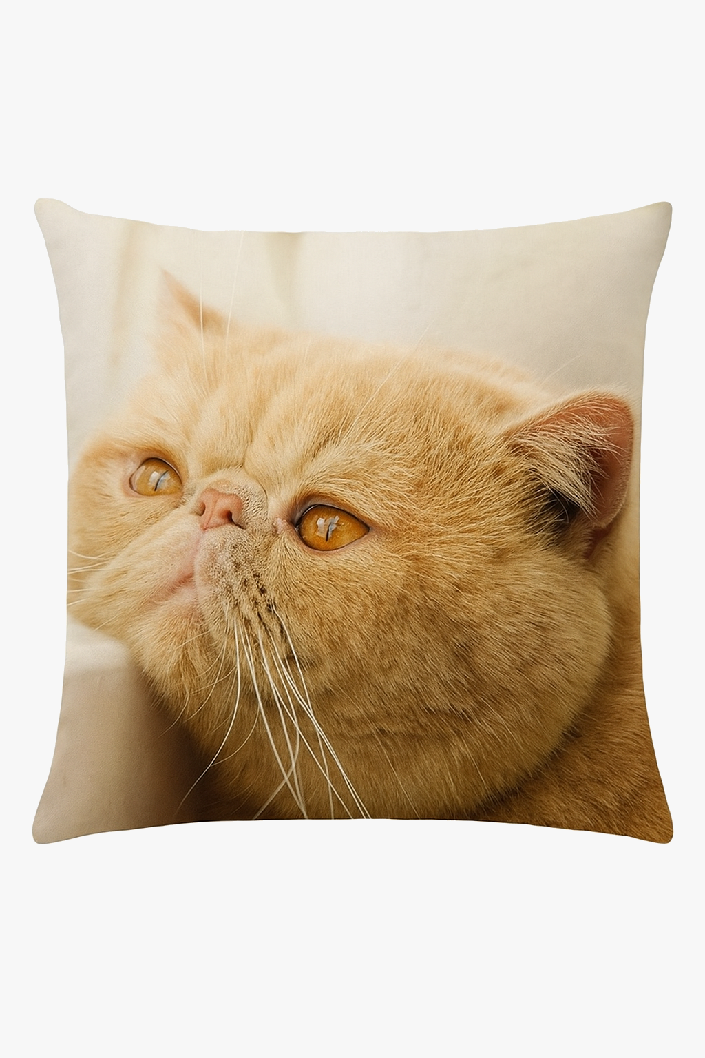 housse-de-coussin-d-corative-motif-chat-mignon-pour-int-rieur-0.png