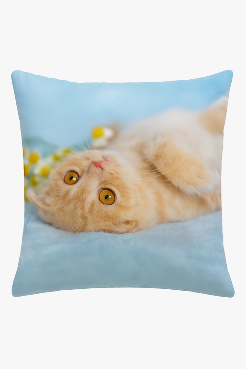 housse-de-coussin-d-corative-motif-chat-mignon-pour-votre-espace-0.png