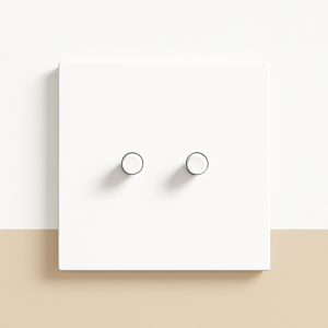 Interrupteur double 2 voies en acier blanc mat