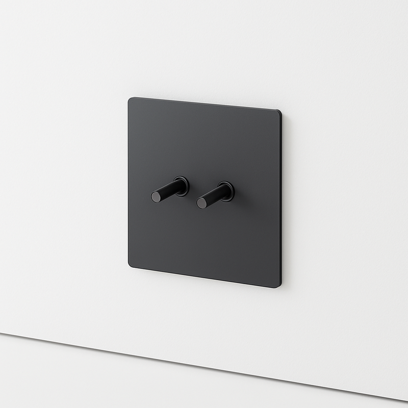 Interrupteur double 2 voies en acier gris foncé brossé