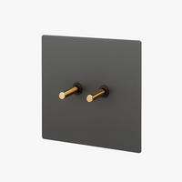 Interrupteur double 2 voies switch en acier gris brossé et doré
