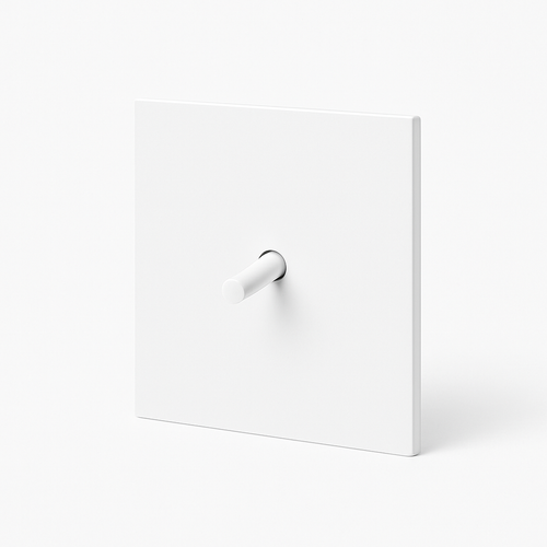 interrupteur-bascule-r-tro-avec-prise-usb-type-c-0.png