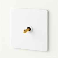 Interrupteur simple 1 voie en acier blanc mat et doré bords arrondis