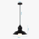 lampe-led-suspendue-r-tro-en-fer-d-coratif-d-int-rieur-id-al-loft-6.png