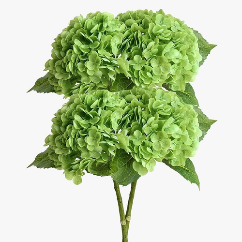 lot-de-4-fleurs-artificielles-d-hortensia-r-alistes-pour-d-coration-et-mariage-6.png