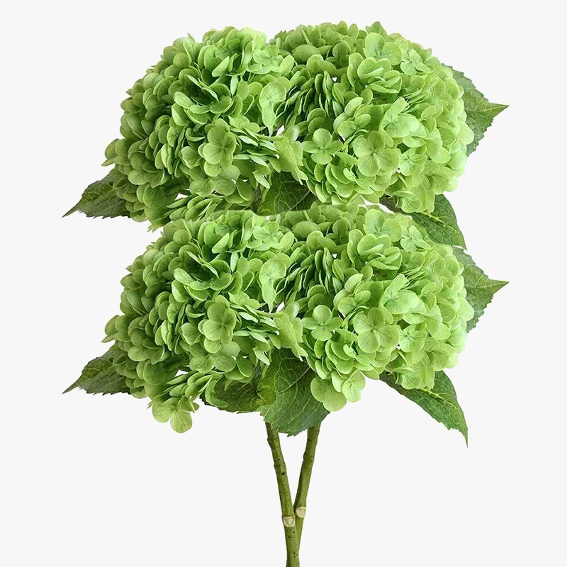 lot-de-4-fleurs-artificielles-d-hortensia-r-alistes-pour-d-coration-et-mariage-6.png