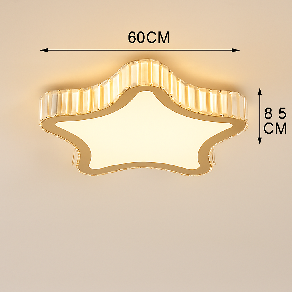 49680559636826