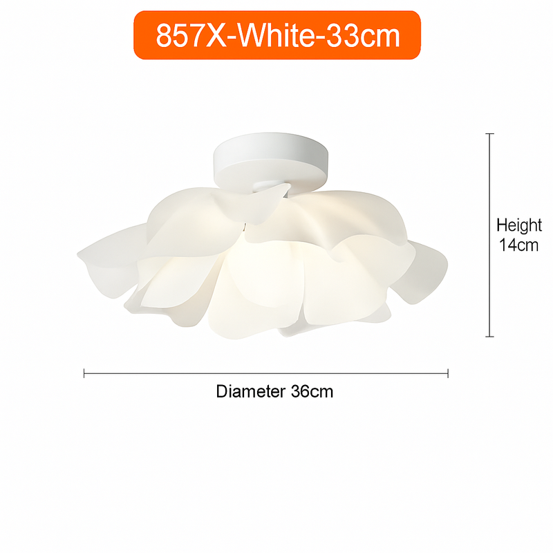 47656662335834|47656662368602