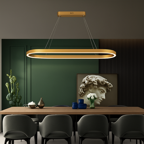 Modern dimmable LED ring chandelier minimalist decor - vue 2 sur 12