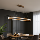 Modern dimmable LED ring chandelier minimalist decor