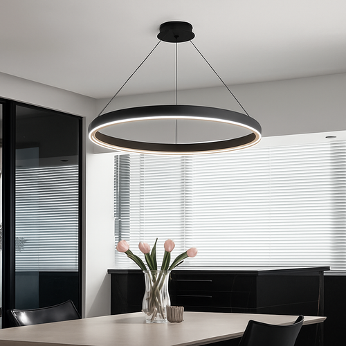 Modern minimalist LED ring chandelier decorative pendant - vue 2 sur 13