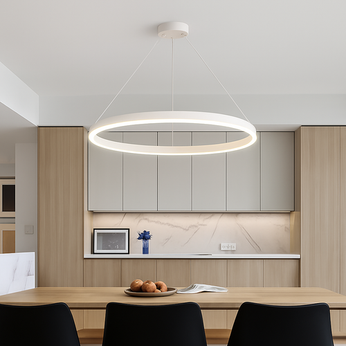 Modern minimalist LED ring chandelier decorative pendant - vue 5 sur 13
