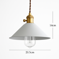 Nordic macaron colourful LED pendant light, simple wrought iron for living room and bedroom