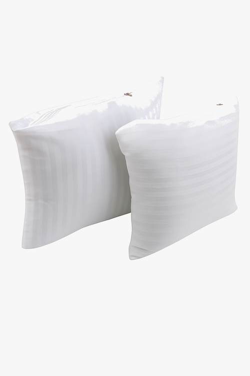 noyaux-de-coussins-en-coton-modernes-et-ray-s-3.png