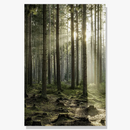 paysage-nordique-hiver-cerf-hibou-lumi-re-du-soleil-art-mural-6.png