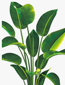 peinture-diamant-5d-plantes-vertes-broderie-mosa-que-d-coration-murale-6.png