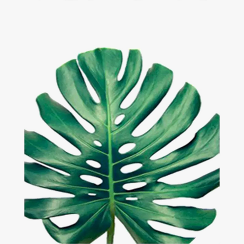 peinture-l-huile-par-num-ro-feuilles-vertes-kit-de-bricolage-d-coratif-6.png