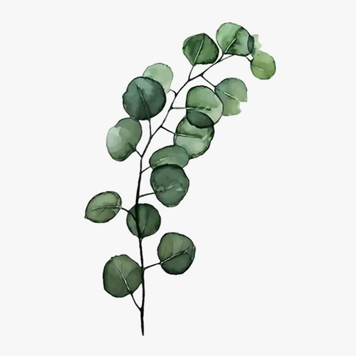 peinture-lhuile-par-num-ro-plante-feuille-pour-d-coration-artisanale-6.png