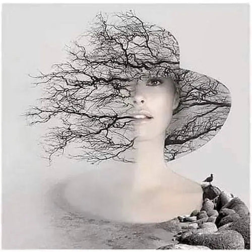 peinture-par-num-ro-portrait-fille-bricolage-artistique-offrir-0.png