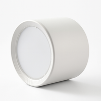 plafonnier led en bois design nordique suspendu pour intérieur moderne