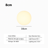 Nordic minimalist LED glass ceiling light decorative