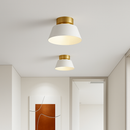 Minimalist iron LED ceiling light for interior decoration