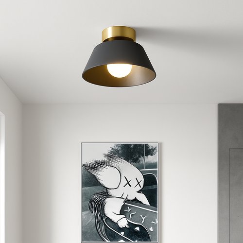 Minimalist iron LED ceiling light for interior decoration - vue 5 sur 12