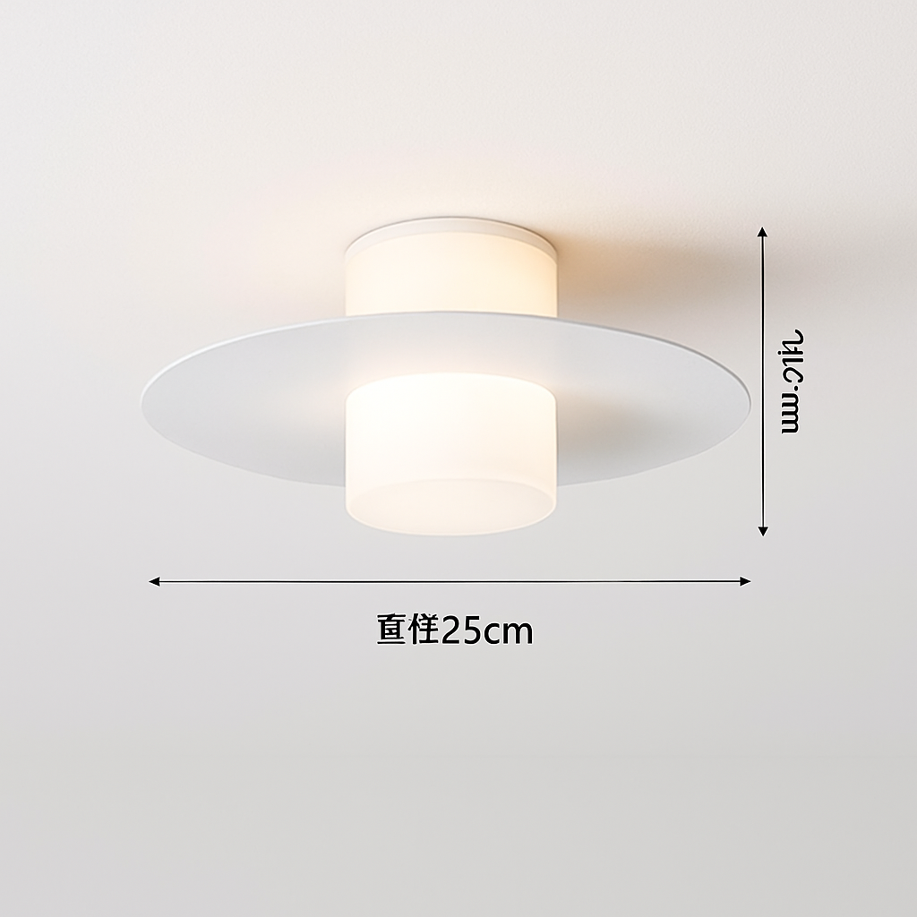 plafonnier-led-moderne-pour-all-e-couloir-et-salon-6.png
