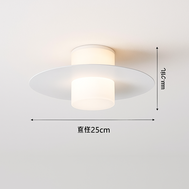 plafonnier-led-moderne-pour-all-e-couloir-et-salon-6.png