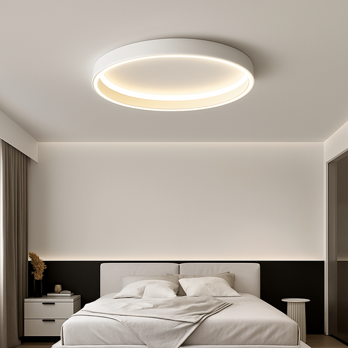 Minimalist round LED ceiling light nordic modern decorative indoor lamp - vue 3 sur 9