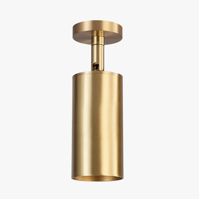 Plafonnier orientable